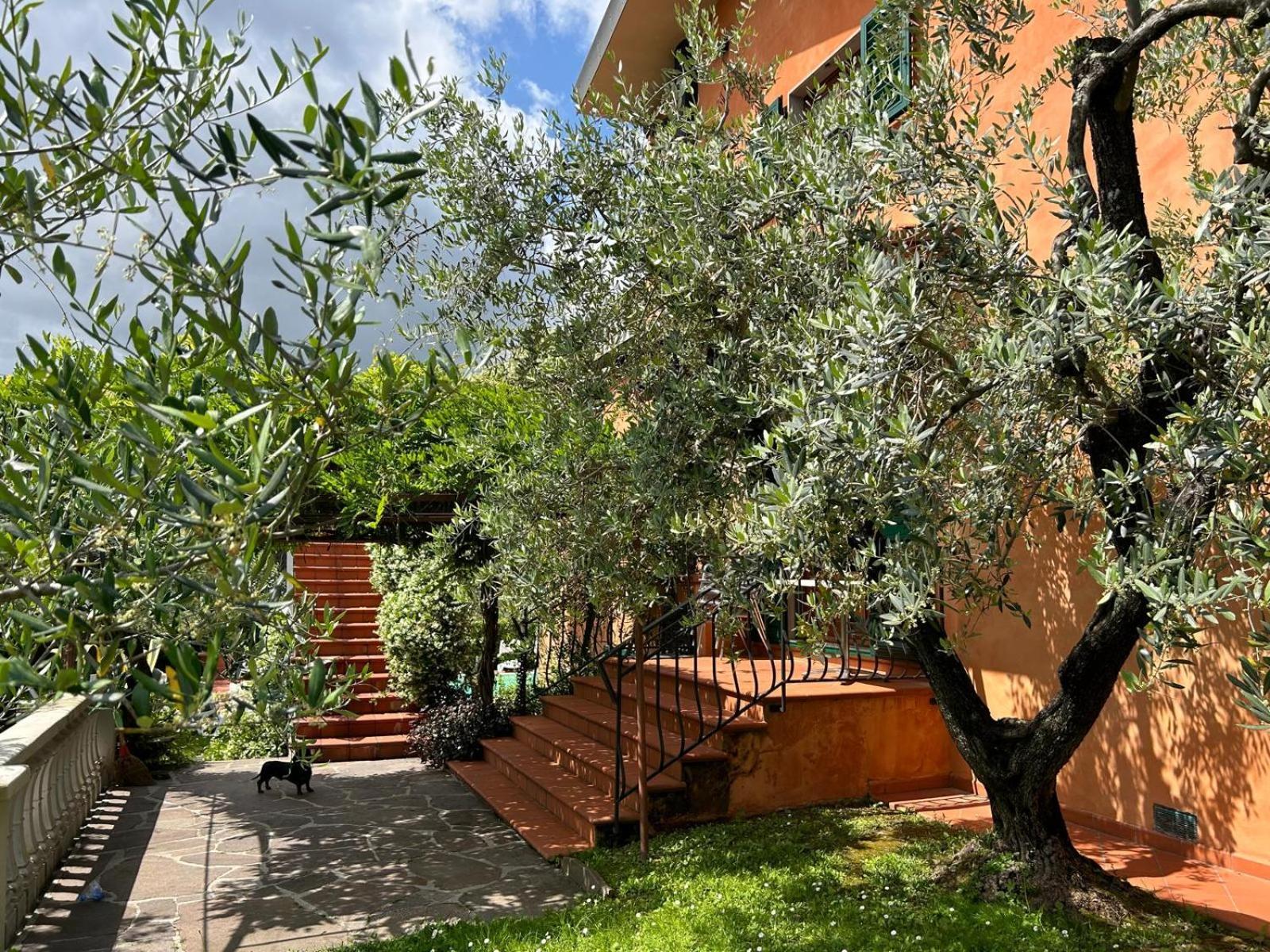 Le Quattro Stagioni Guest House Massa  Bagian luar foto